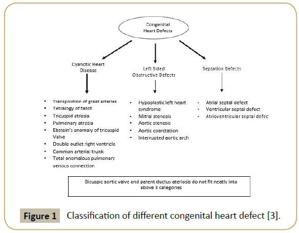 Congenital Heart Defects Insight Medical Publishing